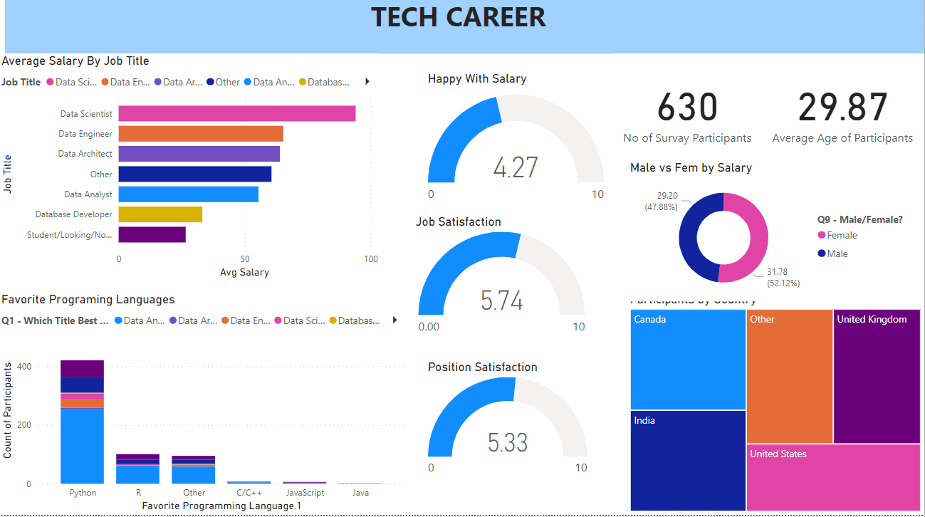Tech Career Analysis Dashboard